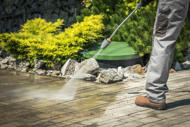 Best Roof Washing  in Woodsboro, TX