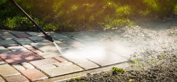 Solar Panel Cleaning in Woodsboro, TX